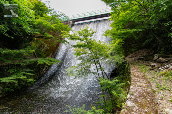 Looking downstream from the left bank