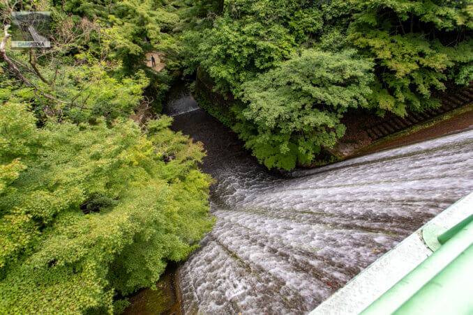 Looking downstream from the top