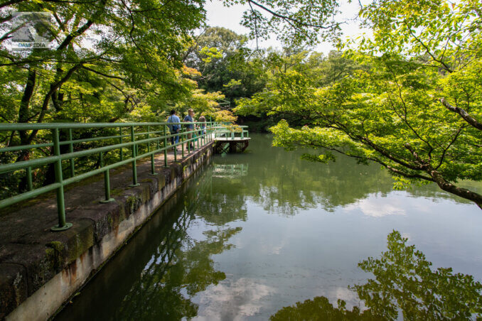 从左岸看堤坝的上游