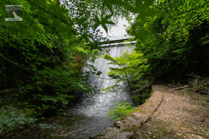 Looking downstream from the left bank