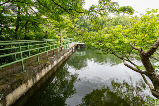 从左岸看堤坝的上游