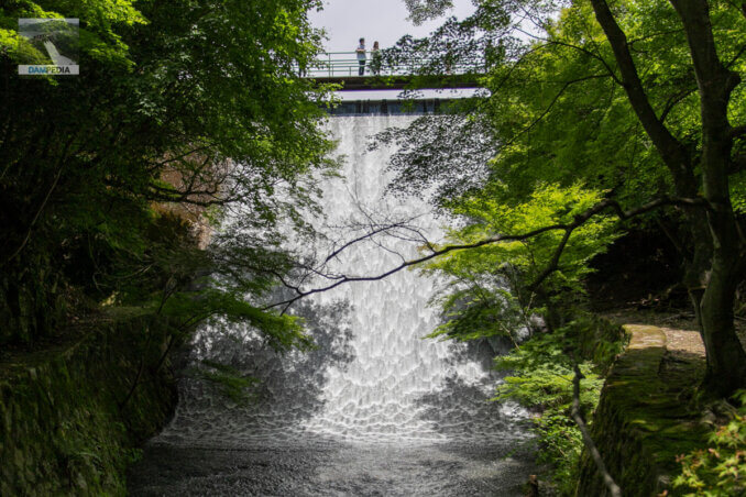 View of the downstream face of the dike