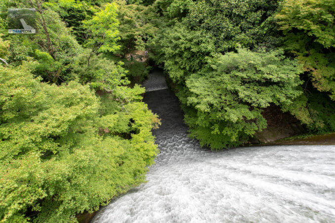 天端より越流を見る