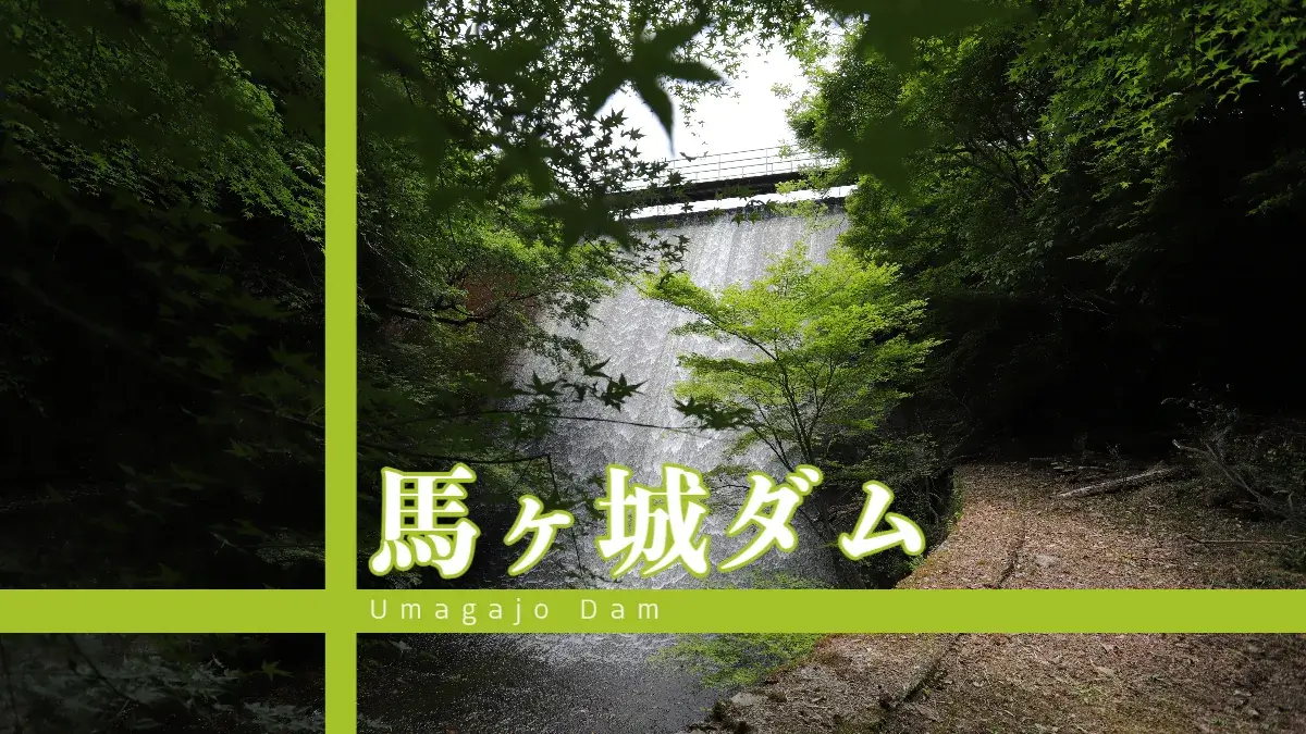 1204-Diga di Umagajo / Prefettura di Aichi, Giappone