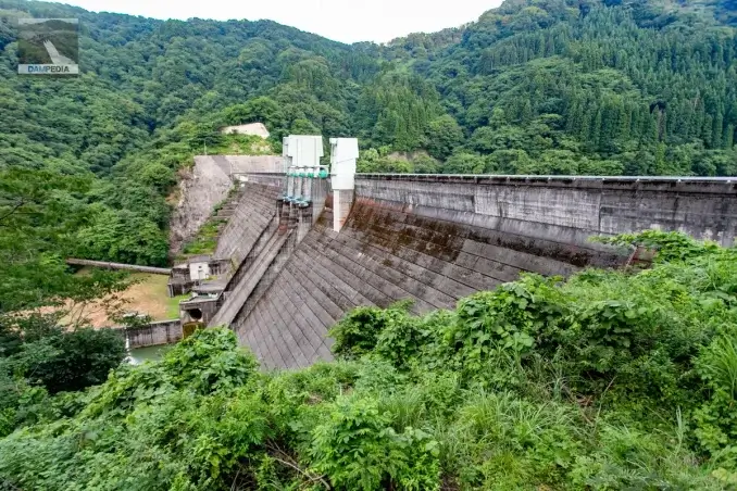 左岸より堤体下流面を見る