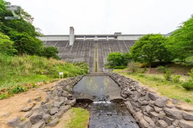 堤体下流面を見る