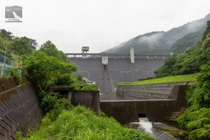堤体下流面を見る