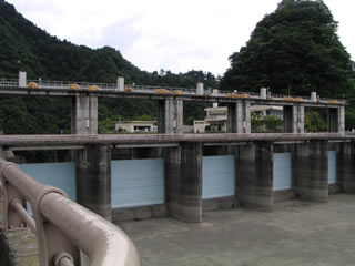 Flood discharge gate
